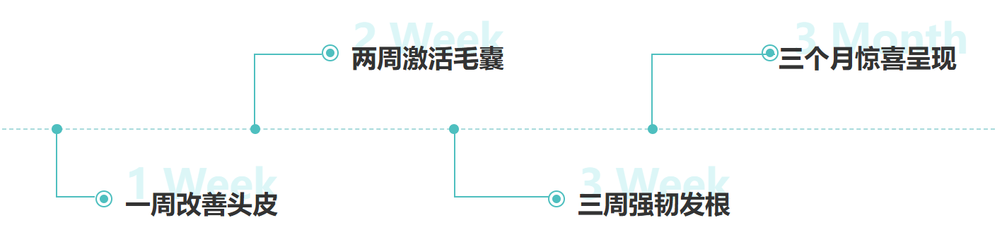 使用时间线
