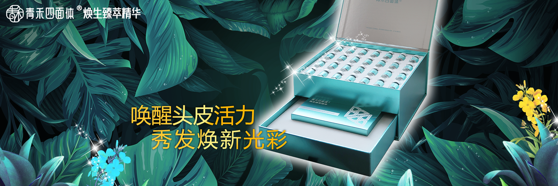 青禾企业形象展示1